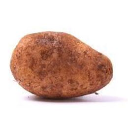 Picture of BRUSH POTATO