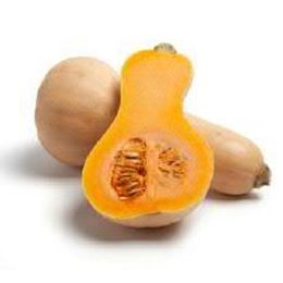 Picture of BUTTERNUT PUMPKIN WHOLE