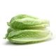 Picture of COS LETTUCE