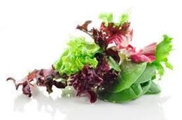 Picture of MIXED SALAD PKT