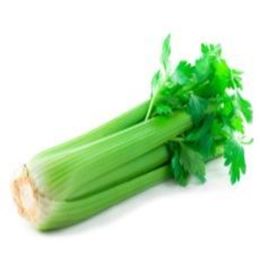 Picture of CELERY BUNCH WHOLE