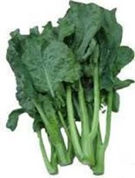 Picture of CHINESE BROCCOLI BUNCH