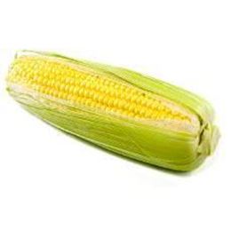 Picture of CORN