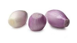 Picture of ONION SHALLOT FRENCH ESCHALLOTS