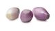Picture of ONION SHALLOT FRENCH ESCHALLOTS
