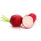 Picture of RED RADISH 