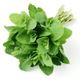 Picture of ROUND MINT HERBS