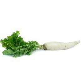 Picture of WHITE RADISH