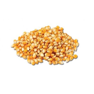 Picture of GALAXY AUSTRALIAN POPPING CORN 1 KG