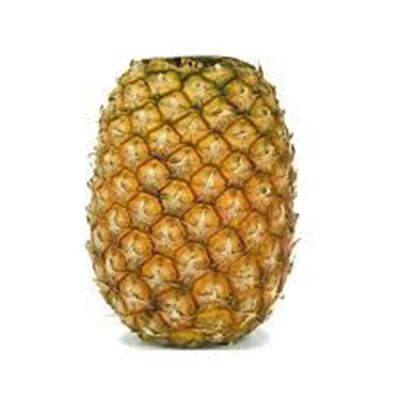 Picture of PINEAPPLE TOPLESS SPECIAL