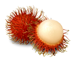 Picture of RAMBUTAN