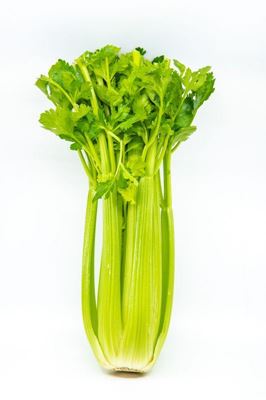 Picture of CELERY SPECIAL