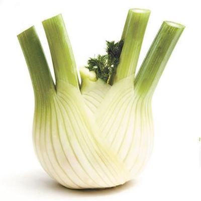 Picture of FENNEL (ANISEED)