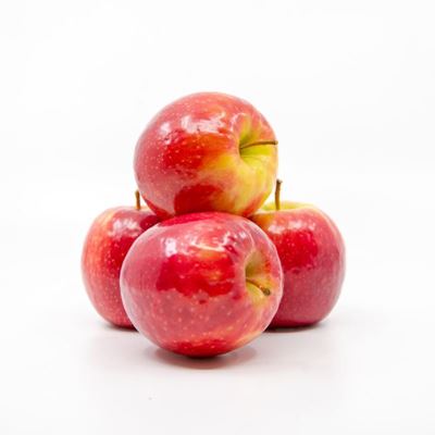 Picture of APPLE PINK LADY LARGE