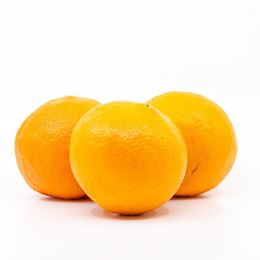 Picture of ORANGE NAVEL