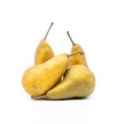 Picture of BROWN PEAR  (BEURRE BOSC)