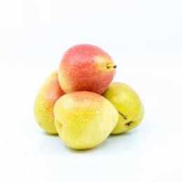 Picture of CORELLA PEAR