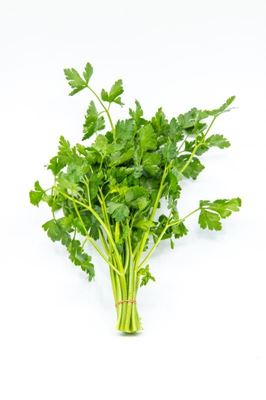 Picture of CONTINENTAL PARSLEY   SPECIAL