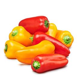 Picture of CAPSICUM 