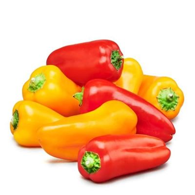 Picture of CAPSICUM 