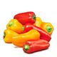 Picture of CAPSICUM 