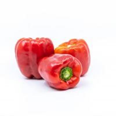 Picture of RED CAPSICUM