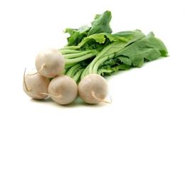 Picture of WHITE TURNIP