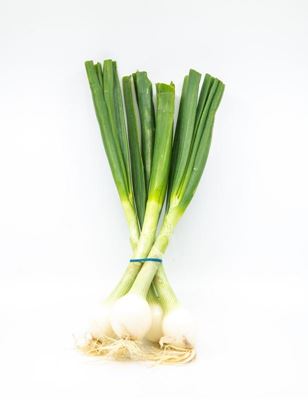 Picture of SPRING ONION BUNCH