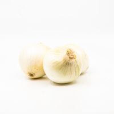 Picture of ONION WHITE