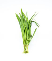 Picture of GARLIC CHIVES  HERBS