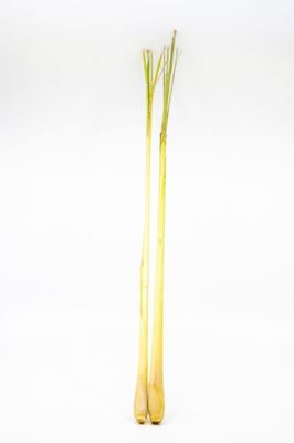 Picture of LEMON-GRASS HERBS