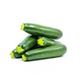 Picture of GREEN ZUCCHINI